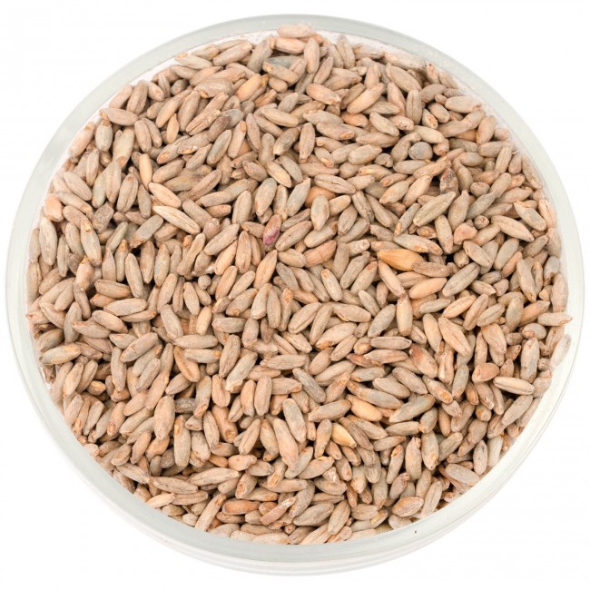 Солод Шато Рай ржаной (Rye) 6.0 EBC