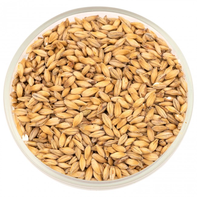 Солод Белсолод "Пилсен" 