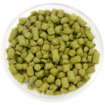 Хмель Наггет (Nugget) 12% 100 гр. Хмель Наггет (Nugget) 12% 100 гр.