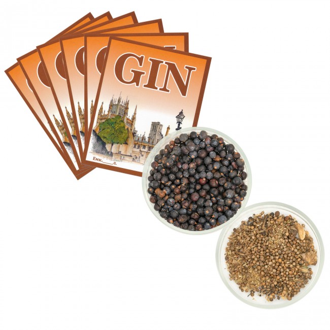 Набор для приготовления "Джин"