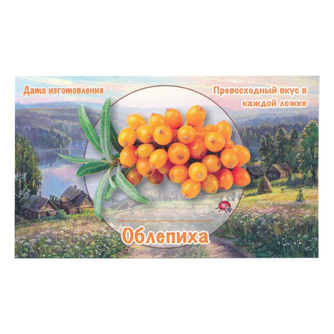 Этикетка самоклеящаяся "Облепиха" 100*60 мм Этикетка самоклеящаяся "Облепиха" 100*60 мм