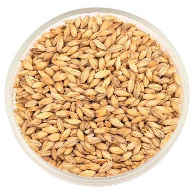 Солод Курск "Копченый" на торфе 