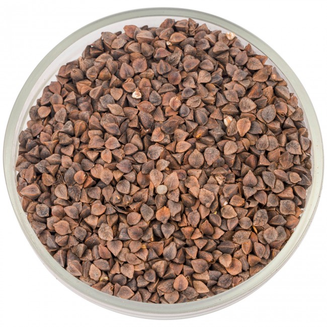 Солод Курск "Гречишный"  Солод Курск "Гречишный"