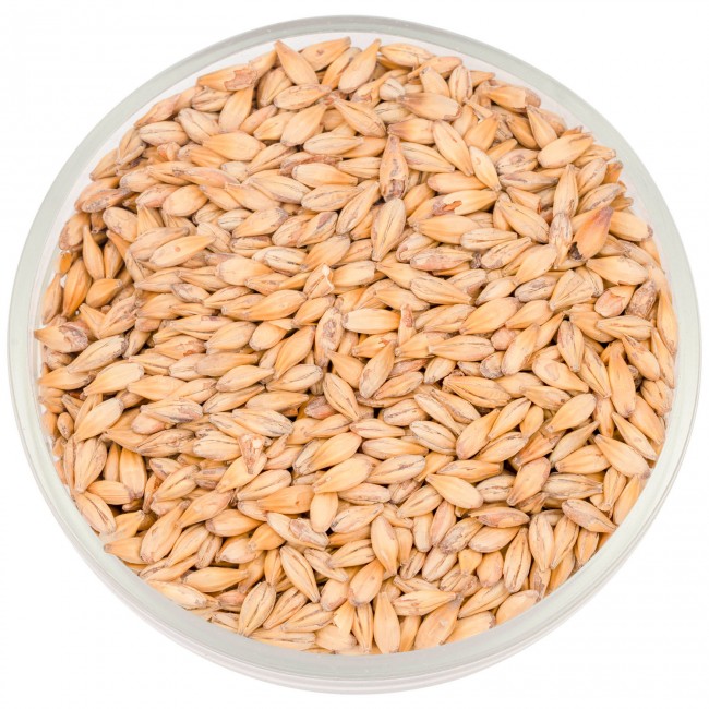 Солод Курск "Карамельный 20" 