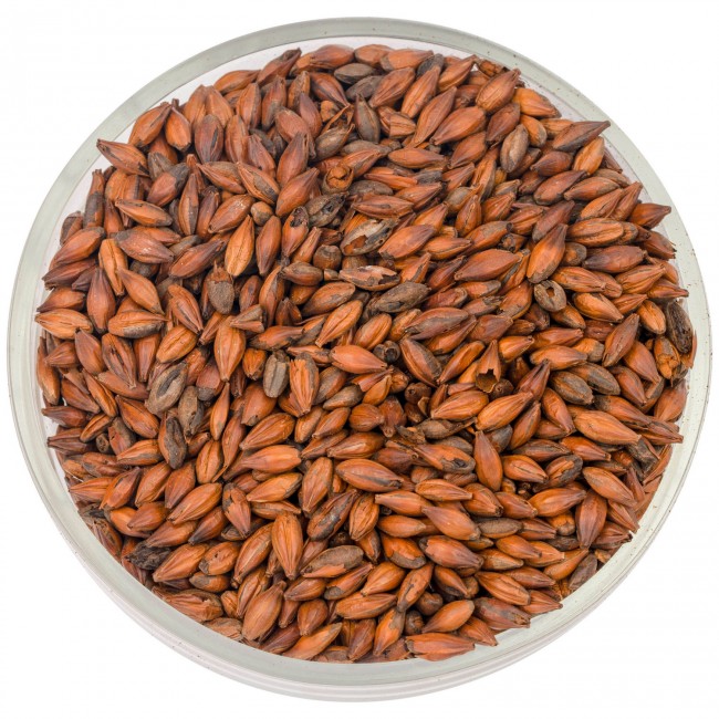 Солод Курск "Шоколадный 900" 