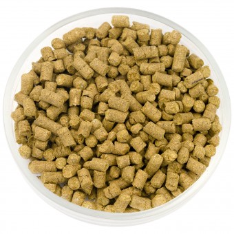 Хмель Кластер (Cluster) 7.7% 50 гр. Хмель Кластер (Cluster) 7.7% 50 гр.